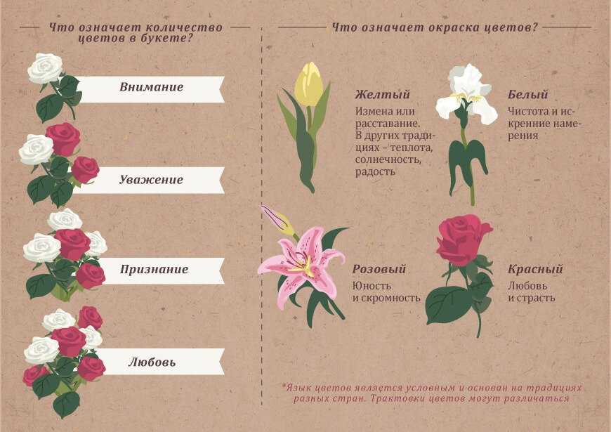 Сколько дарить роз девушке? королева цветов желанна в любом количестве :: syl.ru