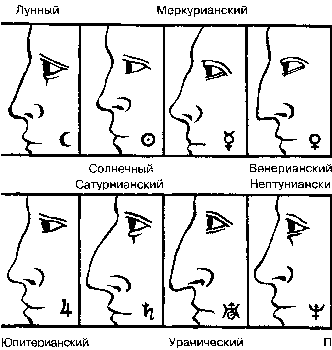 Как определить характер по форме носа?