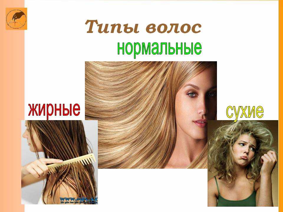 Какие бывают типы волос у женщин