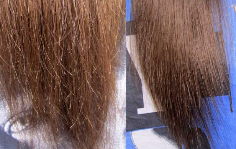 Секущиеся кончики волос - лечение домашними и салонными средствами, восстановление, уход и профилактика — секреты красоток