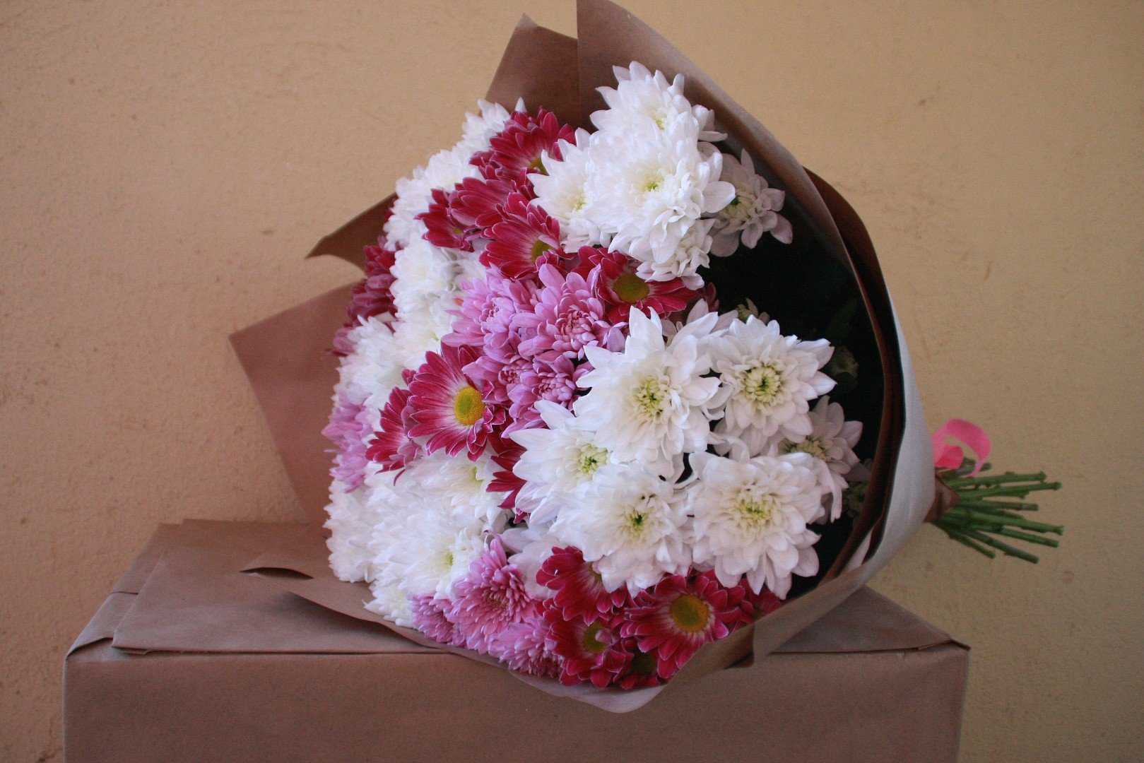Какие цветы подарить девушке на 8 марта и по любому поводу
