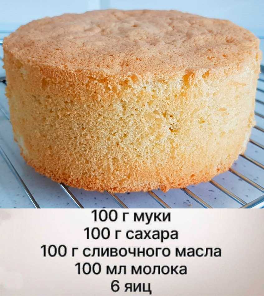 Рецепты пышного и простого бисквита в духовке для торта
