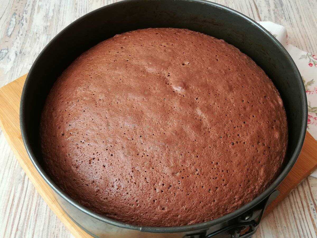 Шоколадный бисквит: классический воздушный рецепт – как испечь очень вкусный торт