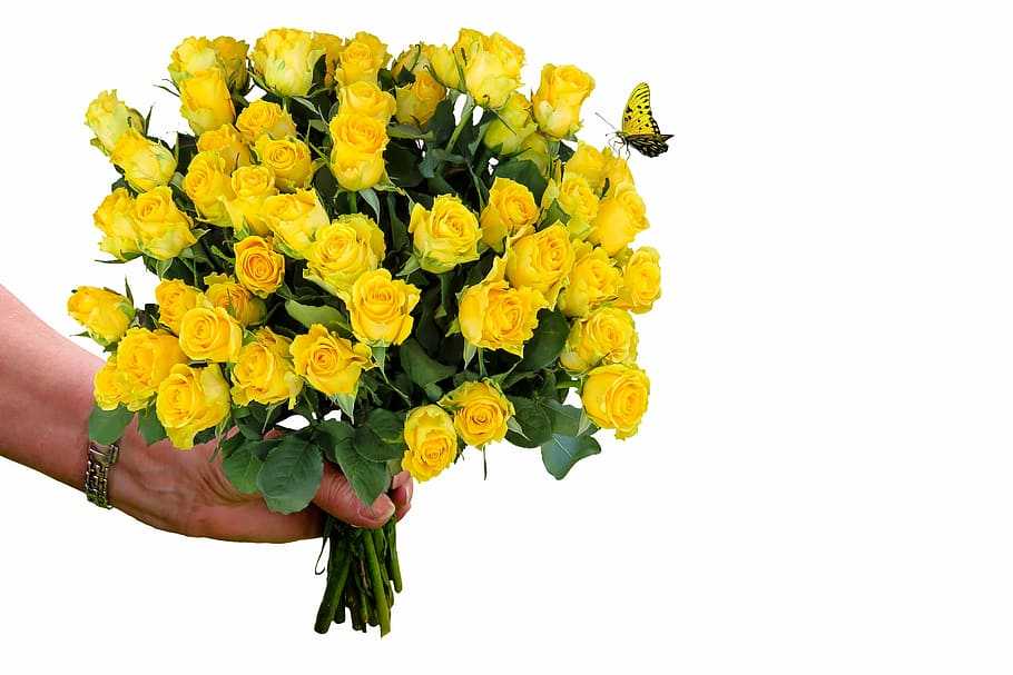 Можно ли дарить желтые розы?