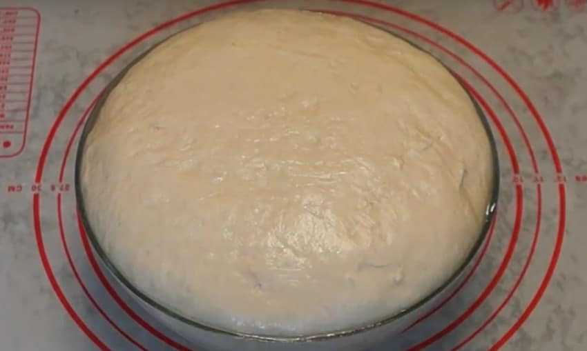Тесто для пирожков дрожжевое на воде рецепт с фото пошагово с