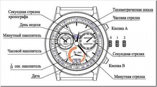 Виды наручных часов: классификация, характеристики, функции – obliqo