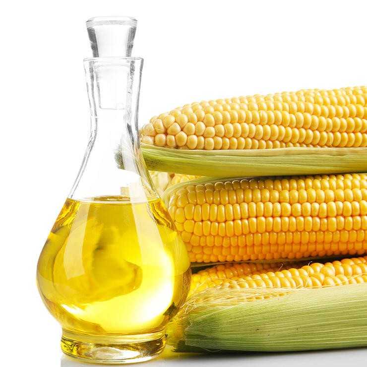 Кукурузное масло полезные свойства и противопоказания