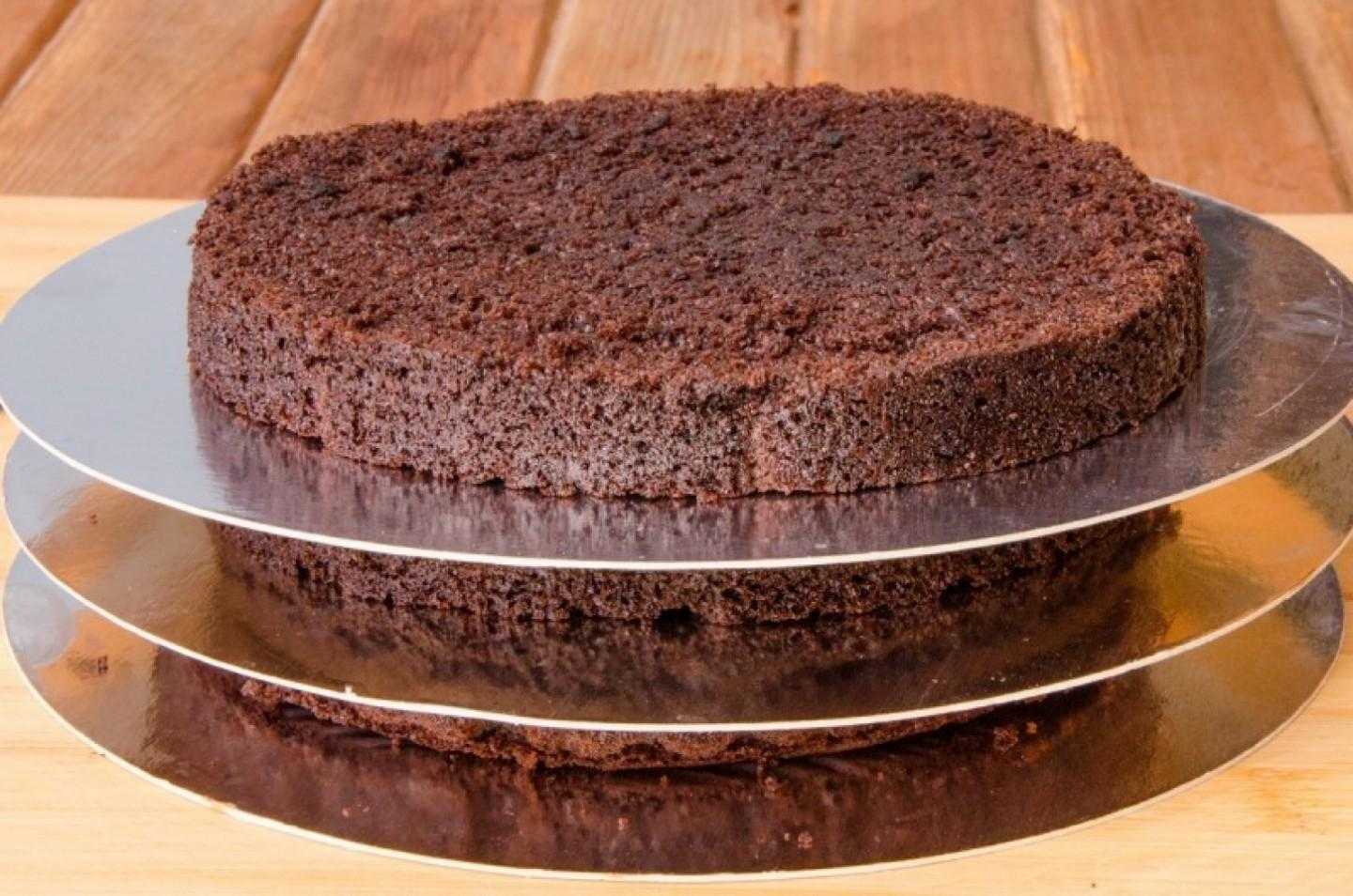 Простой рецепт шоколадного бисквита в духовке. Коржи для торта. Коржи для торта бисквитные. Шоколадный бисквит для торта пышный. Торт с шоколадными коржами.