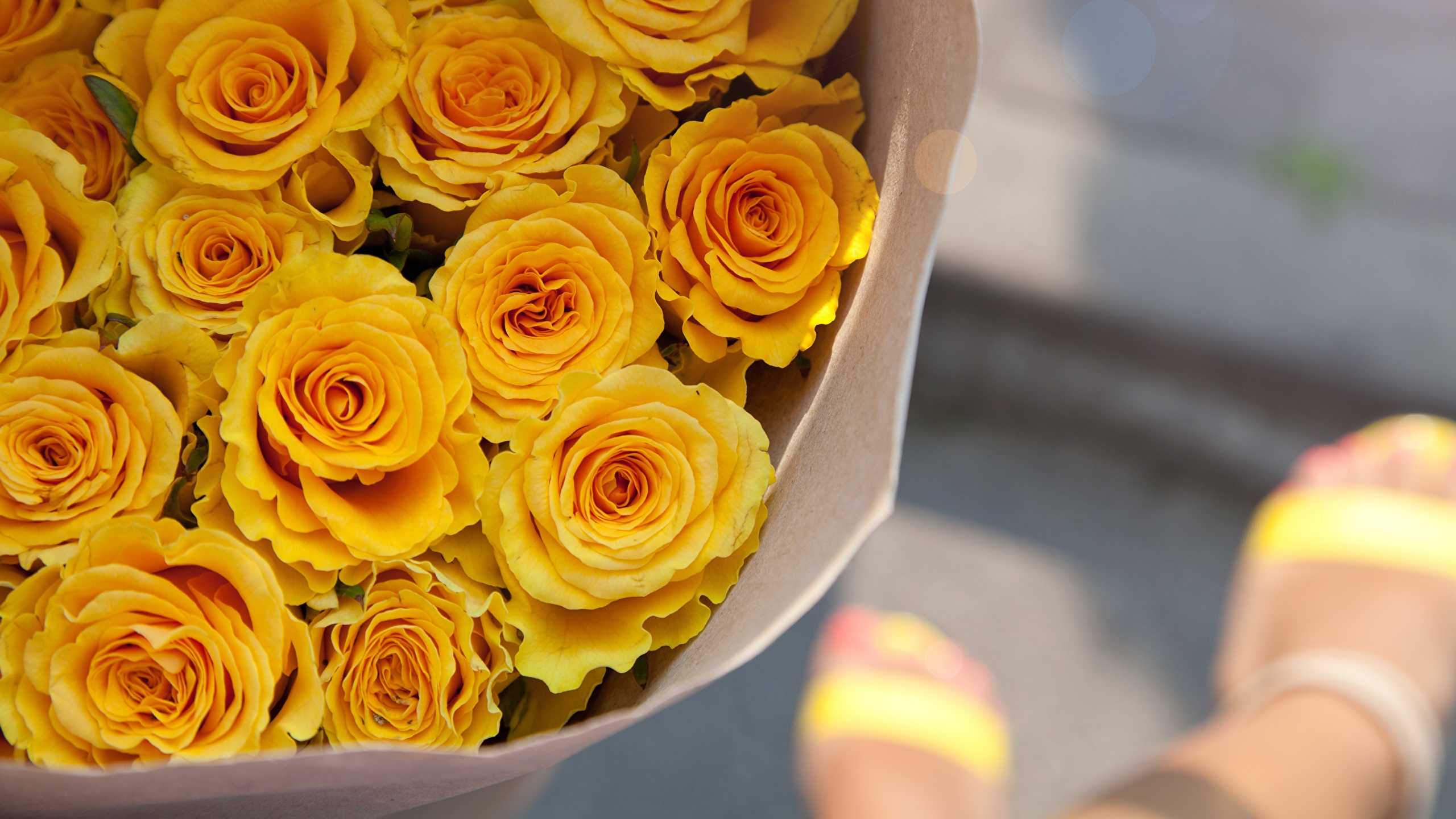 Желтые розы: дарить или нет? к чему дарят жёлтые розы женщине (девушке) и что они значат на языке цветов
