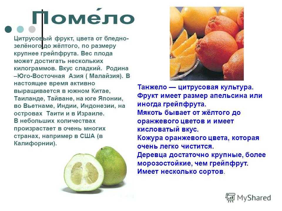 Эфирное масло грейпфрута, применение в косметологии и лечении, противопоказания